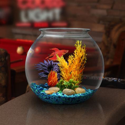 Fish Bowl Images .